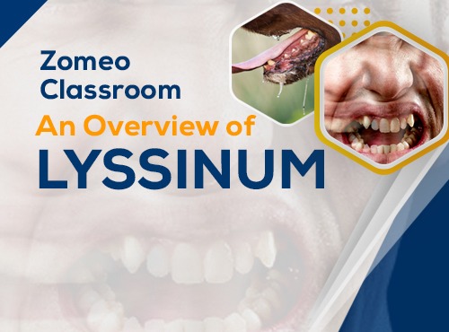 An Overview of LYSSINUM