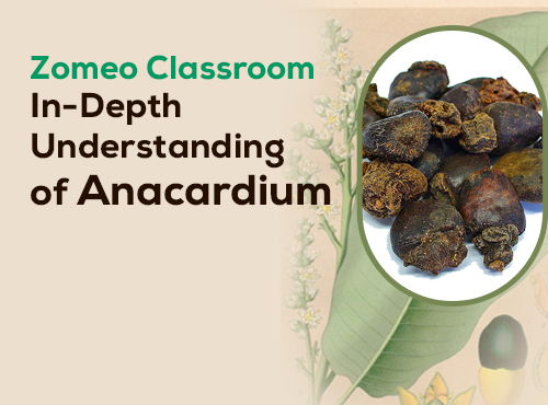 In-Depth Understanding of Anacardium