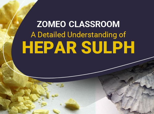 A Detailed Understanding of Hepar Sulph