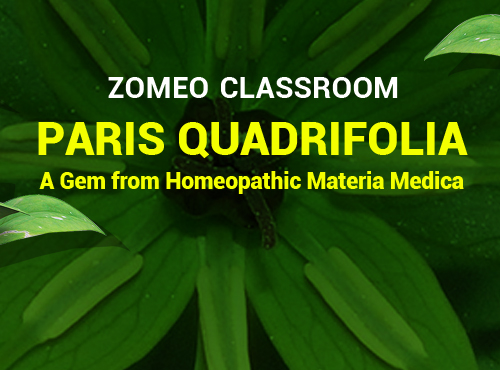 Paris Quadrifolia - A Gem from Homeopathy Materia Medica