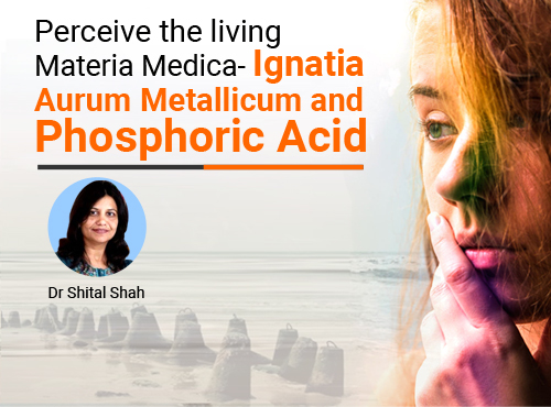 Perceive the living materia medica-Ignatia, Aurum Metallicum and Phosphoric Acid