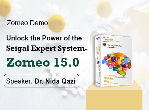 Unlock the Power of the Seigal Expert System - Zomeo 15.0