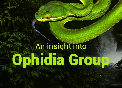 Zomeo Classroom - An insight into Ophidia Group
