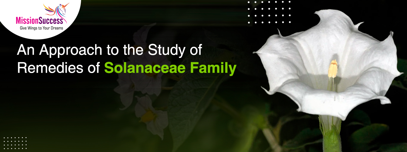Mission Success: An Approach to the Study of Remedies of Solanaceae Family