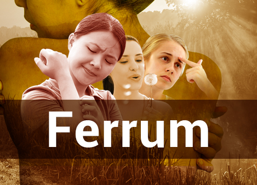 Evolutionary Materia Medica of Ferrum 