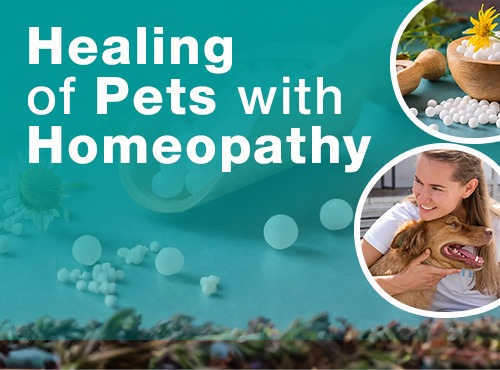 Healing of Pets with Homeopathy